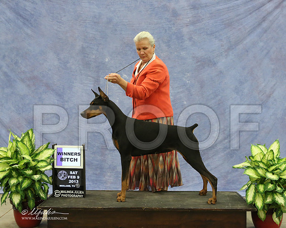 Dobe-9504-LR
