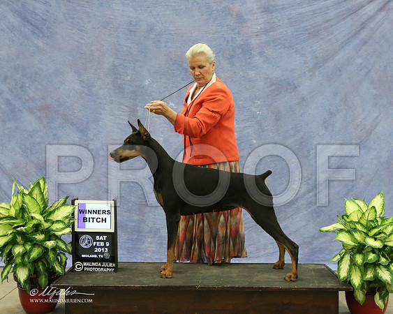 Dobe-9505-LR