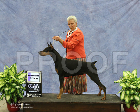 Dobe-9506-LR