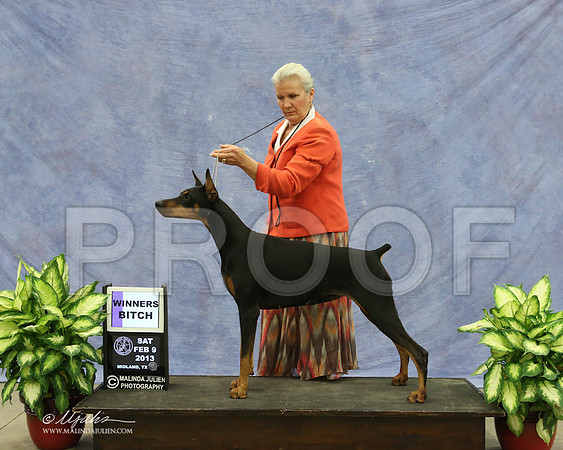 Dobe-9507-LR