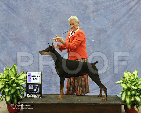 Dobe-9508-LR