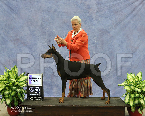 Dobe-9509-LR