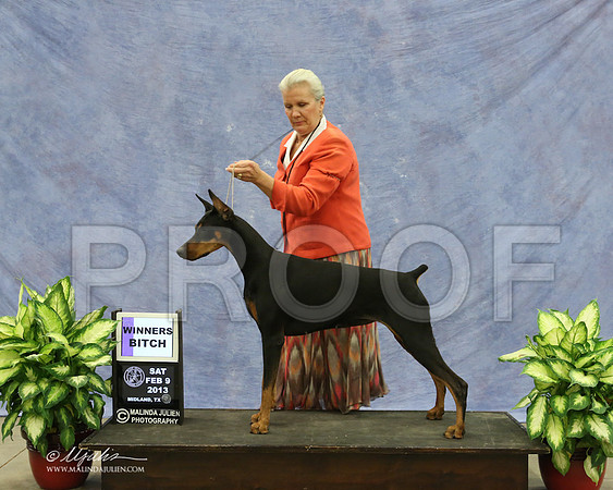 Dobe-9502-LR