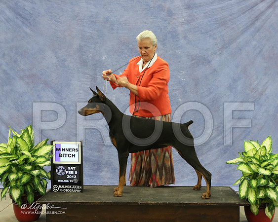 Dobe-9510-LR