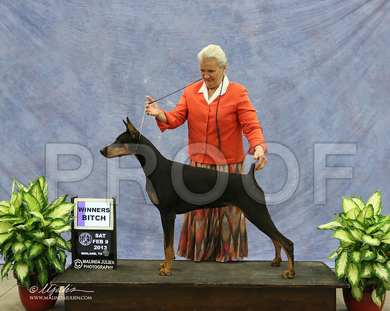 Dobe-9514-LR