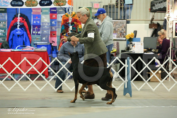 dobe-6927-LR