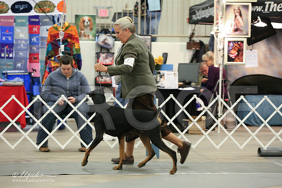 dobe-6926-LR
