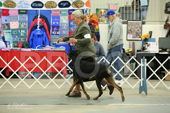 dobe-6928-LR