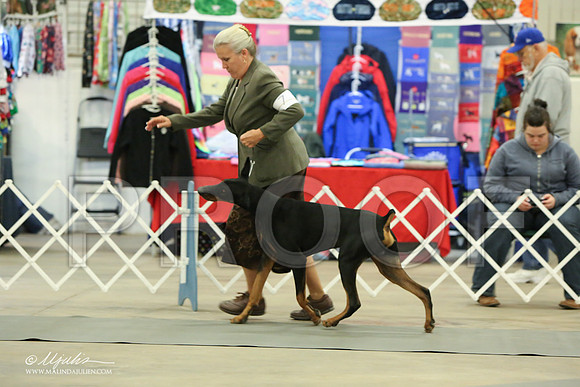 dobe-6931-LR