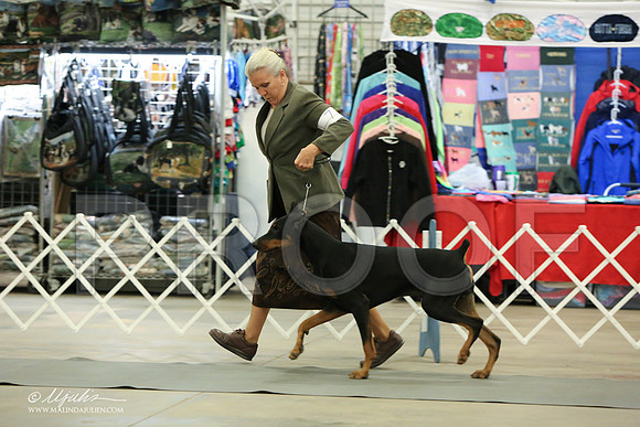 dobe-6932-LR