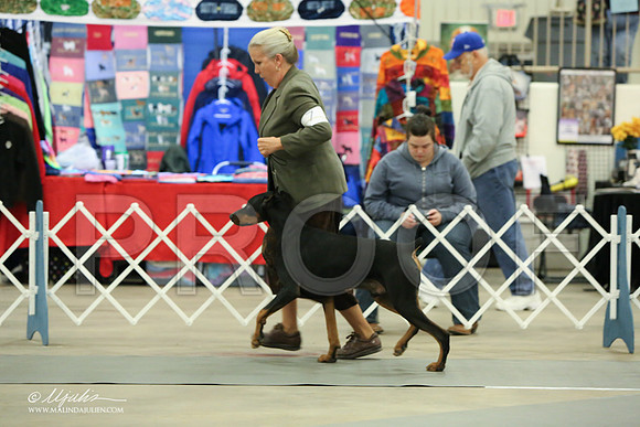 dobe-6929-LR
