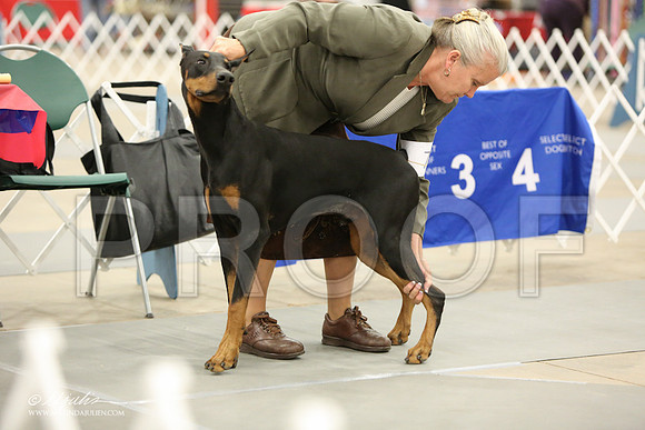dobe-6936-LR