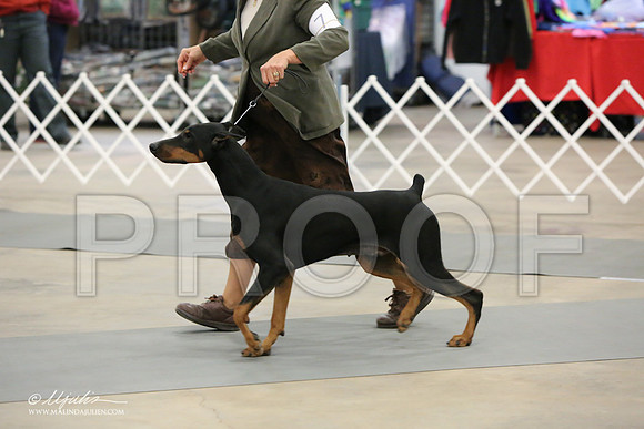 dobe-6939-LR