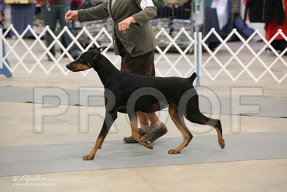 dobe-6940-LR