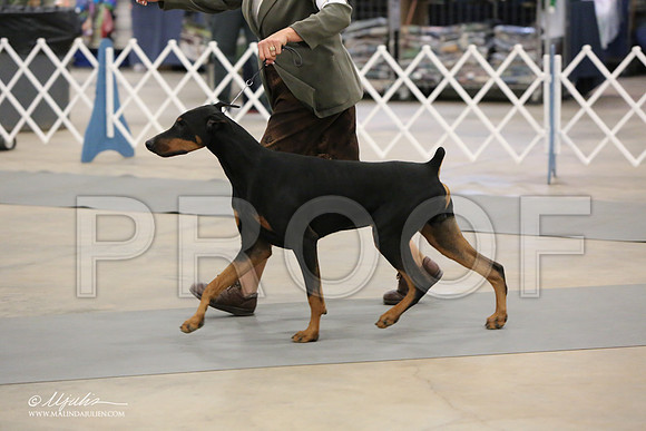 dobe-6941-LR
