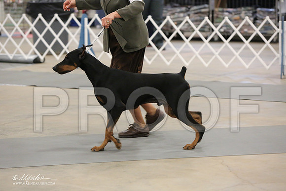 dobe-6942-LR