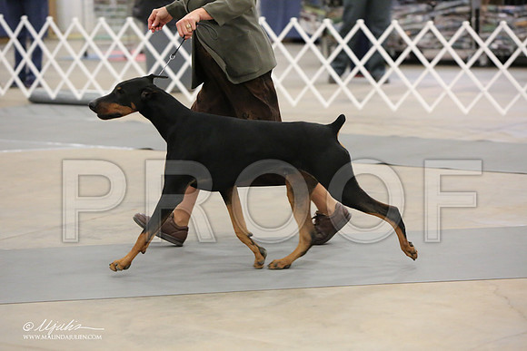 dobe-6943-LR