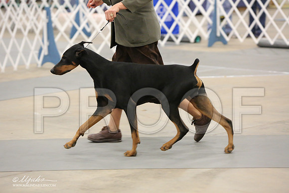 dobe-6946-LR