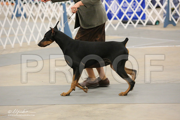 dobe-6947-LR