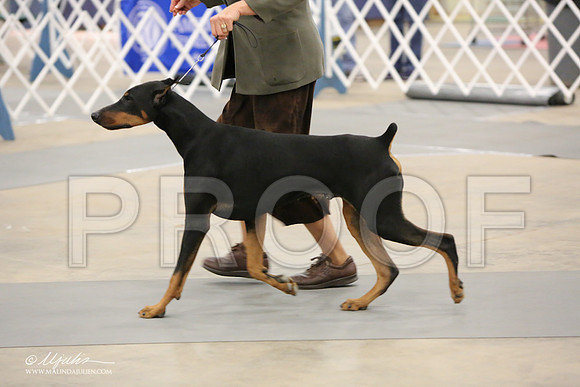 dobe-6945-LR
