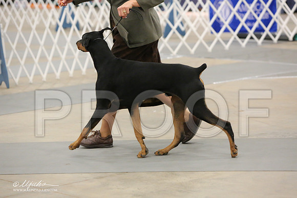 dobe-6948-LR