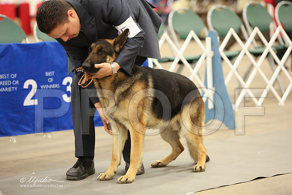 GSD-2967-LR