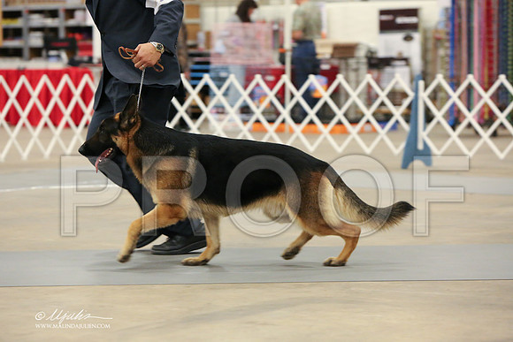 GSD-2974-LR