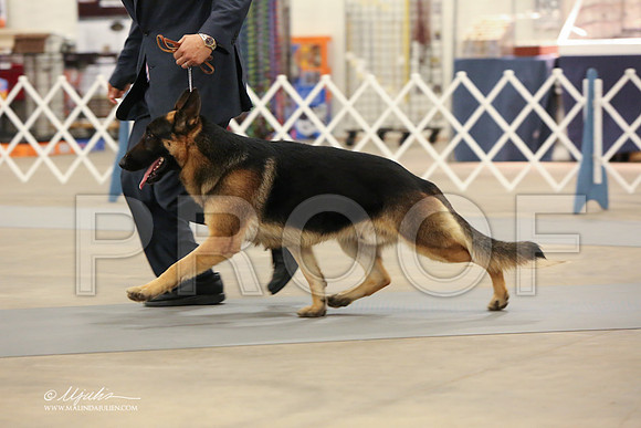 GSD-2973-LR