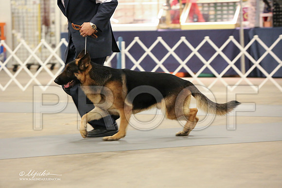 GSD-2971-LR