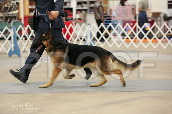 GSD-2975-LR