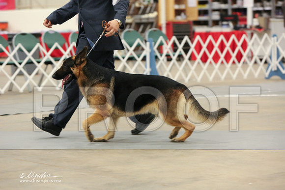 GSD-2977-LR