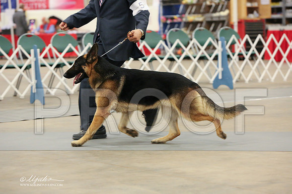 GSD-2978-LR