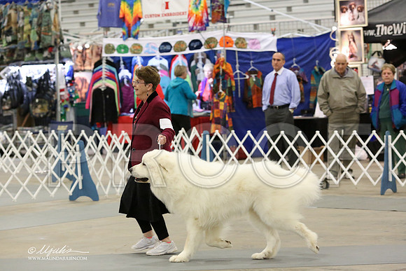 GPyr-6369-LR