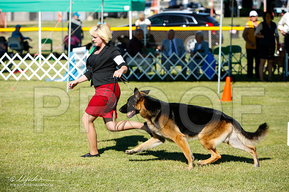 _JJ_6209-AlamogordoOct2014-HR3