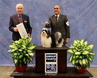 Havanese #5 Sat Group 4 Arlene Etzig & Linda Galloway Judge R Hartinger LR Midland Feb 2013