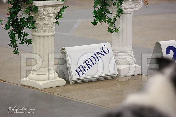 HerdGr-7890-LR