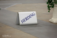 Herding Group Sun Ring LR Midland Feb 2013
