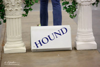 Hound Group Sat Ring LR Midland Feb 2013