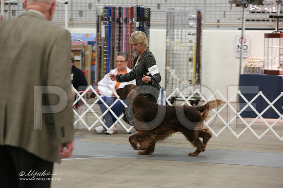 Irish-3440-LR