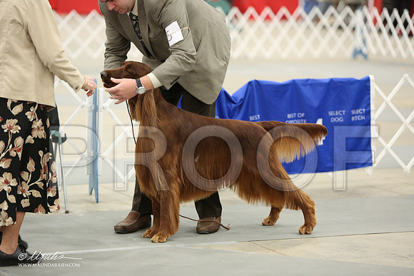 IS-8717-LR