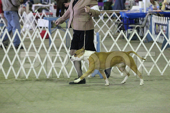 MJS_8411