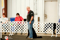 Agility Std Mstr Reg 24 #24005 Gina O'Gara