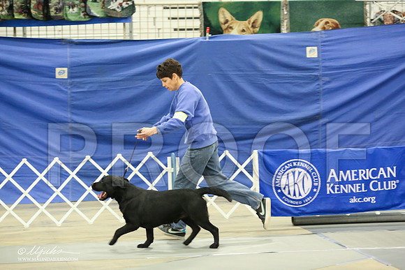 Lab-1399-LR