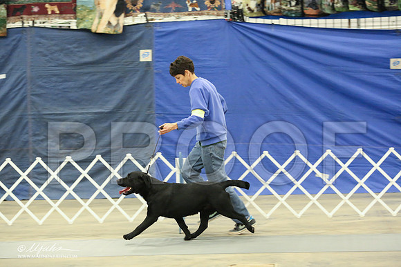 Lab-1404-LR