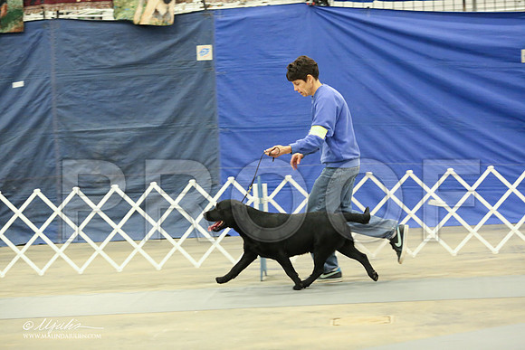 Lab-1431-LR