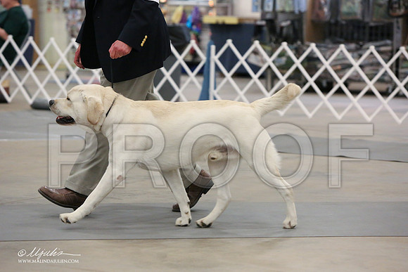 Lab-7363-LR