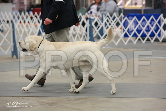 Lab-7369-LR