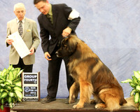 Leonberger #5 Sun Group 4 Janis Cook Agent Rudy Ayala Jr Judge R Hartinger LR Midland Feb 2013