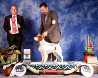 Brittany #15 Sat Group 2nd Douglas Carolee and J and A Andras and K Hogan and A Cone Clint Livingston Judge D Cline