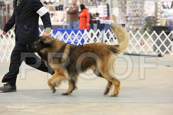 leon-0101-LR